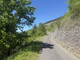 972 m² wijngaard met Riesling in Zell, Cochem - Duitsland