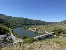 972 m² wijngaard met Riesling in Zell, Cochem - Duitsland