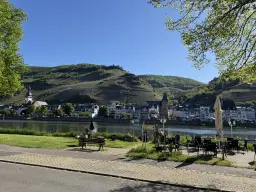 972 m² wijngaard met Riesling in Zell, Cochem - Duitsland