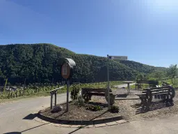 972 m² wijngaard met Riesling in Zell, Cochem - Duitsland