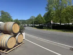 972 m² wijngaard met Riesling in Zell, Cochem - Duitsland