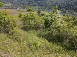 Perceel van 1.679 m² nabij Cochem - Duitsland