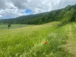 3.950 m² groen perceel nabij Ebenshausen, Thüringen - Duitsland