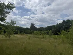 54.019 m² natuur- en recreatieterrein met recreatiemeer Ringsee in Königs Wusterhausen, nabij Berlijn – Duitsland