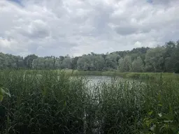 54.019 m² natuur- en recreatieterrein met recreatiemeer Ringsee in Königs Wusterhausen, nabij Berlijn – Duitsland