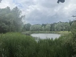 54.019 m² natuur- en recreatieterrein met recreatiemeer Ringsee in Königs Wusterhausen, nabij Berlijn – Duitsland