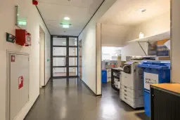Wolvega, Grote Weegbree 2