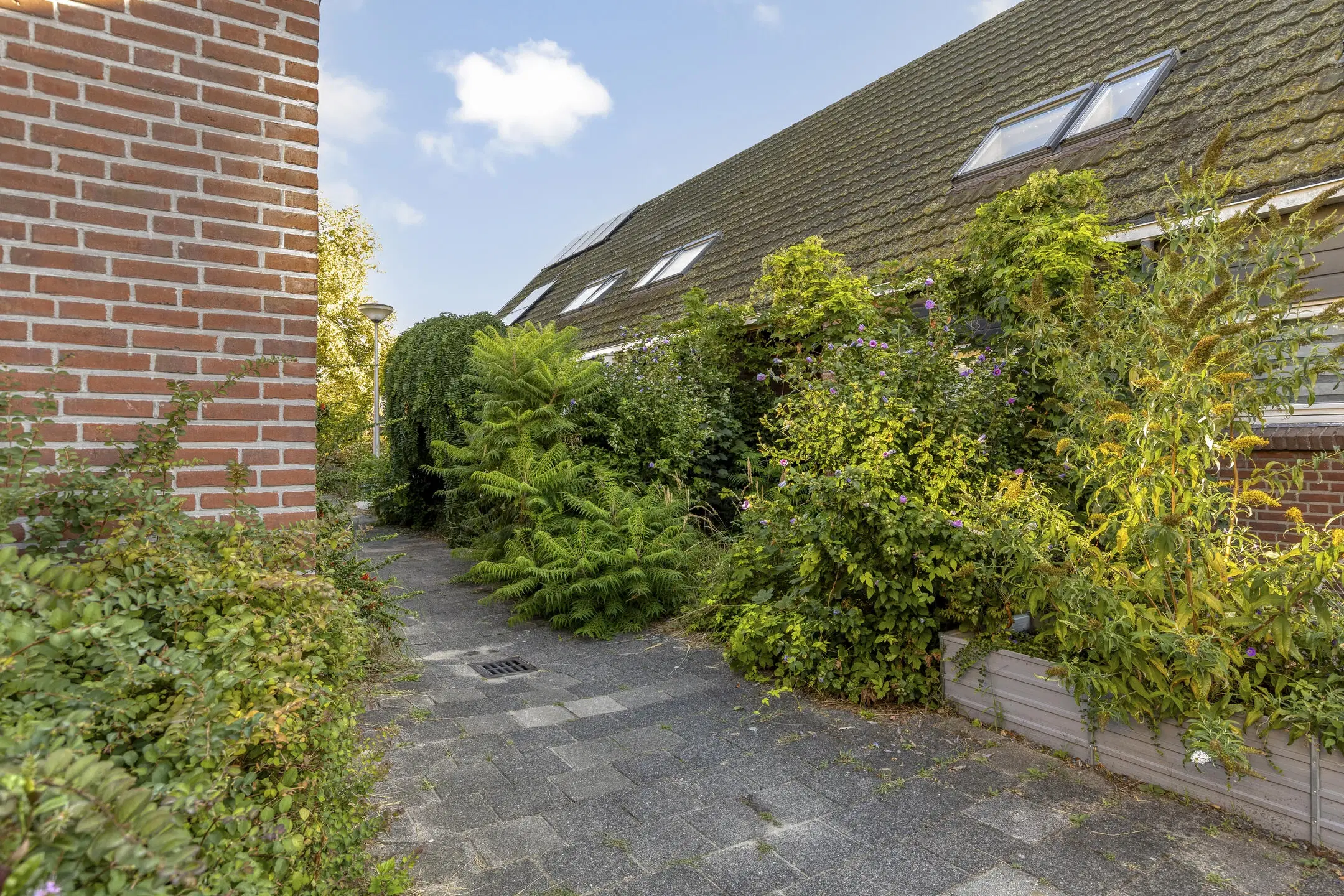 Spijkenisse, Egelveen 220
