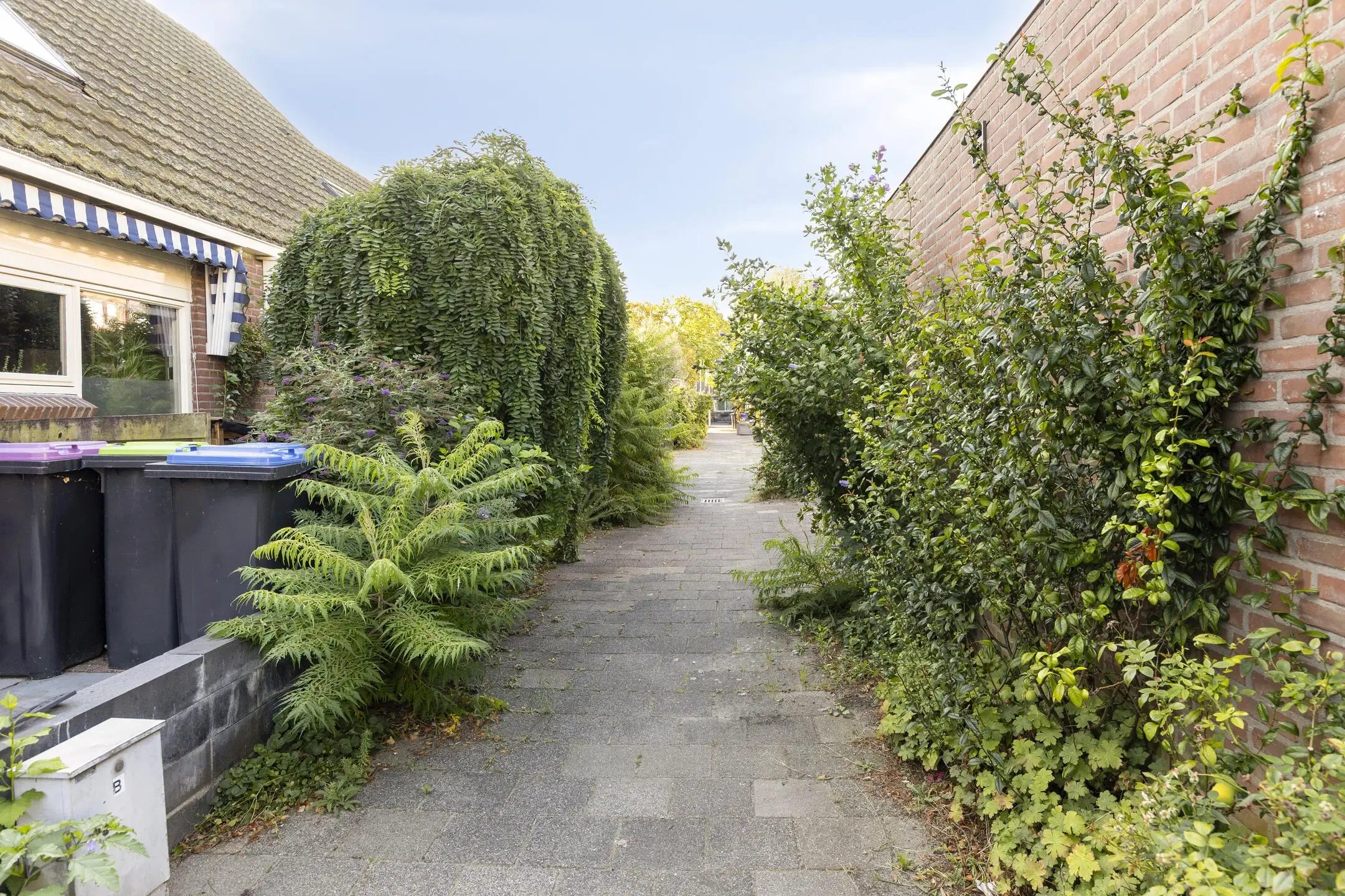 Spijkenisse, Egelveen 220