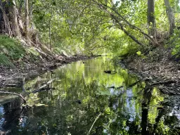 Waterperceel van 429 m² in Mützel, Genthin - Duitsland