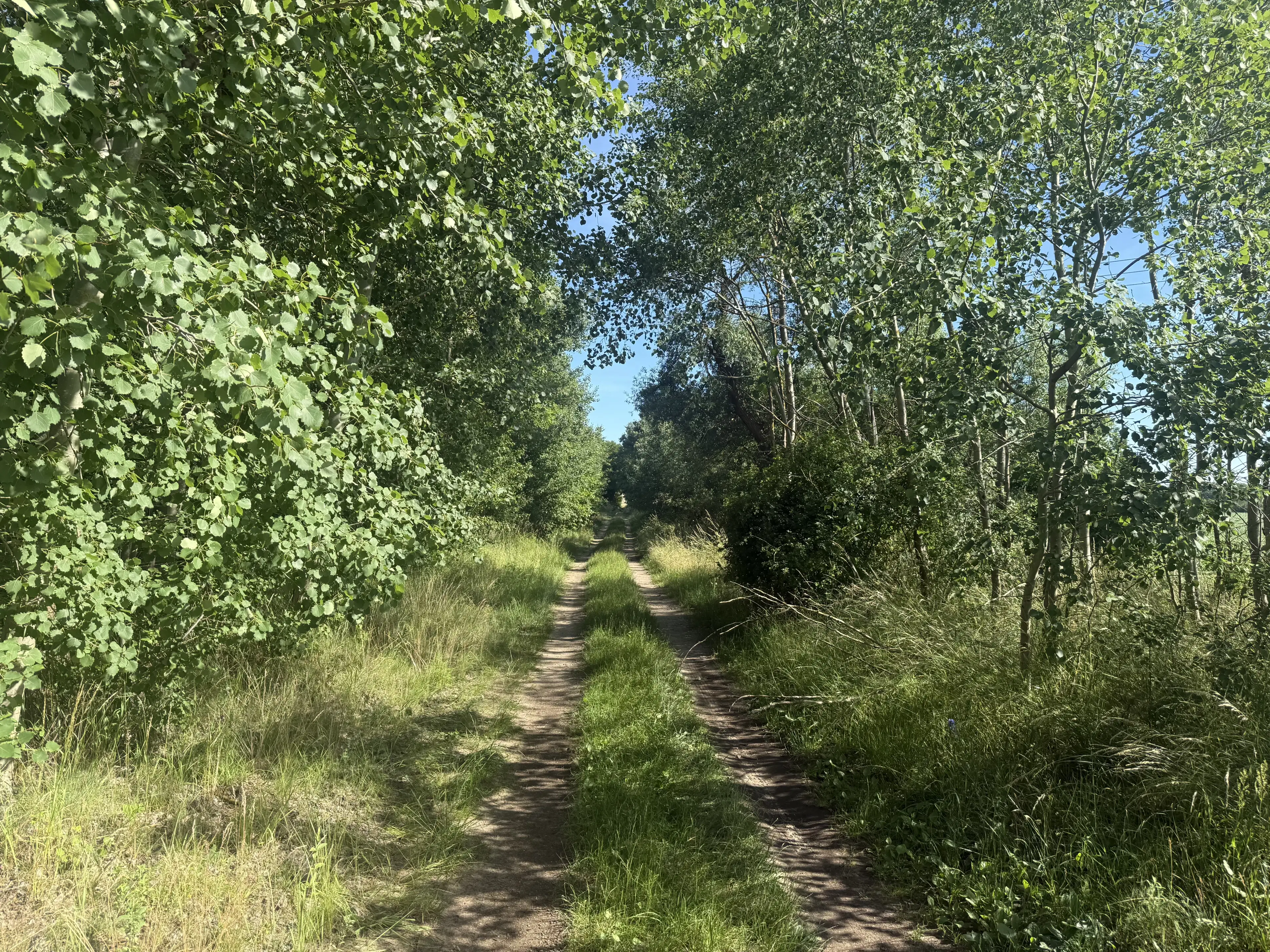 Terrein van 2.4 ha in Schwedt / Oder - Duitsland