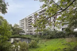 Den Haag, Stokroosstraat 301