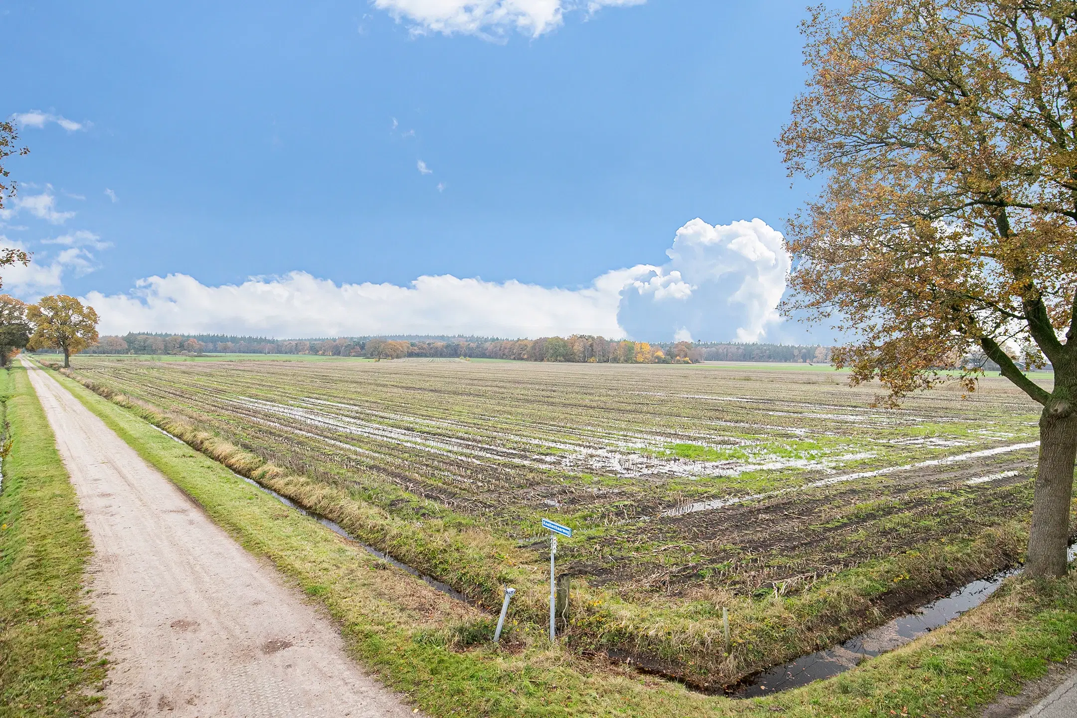 Landerijen aan/nabij Coninckserveweg / Ossenkampweg te Hellendoorn 