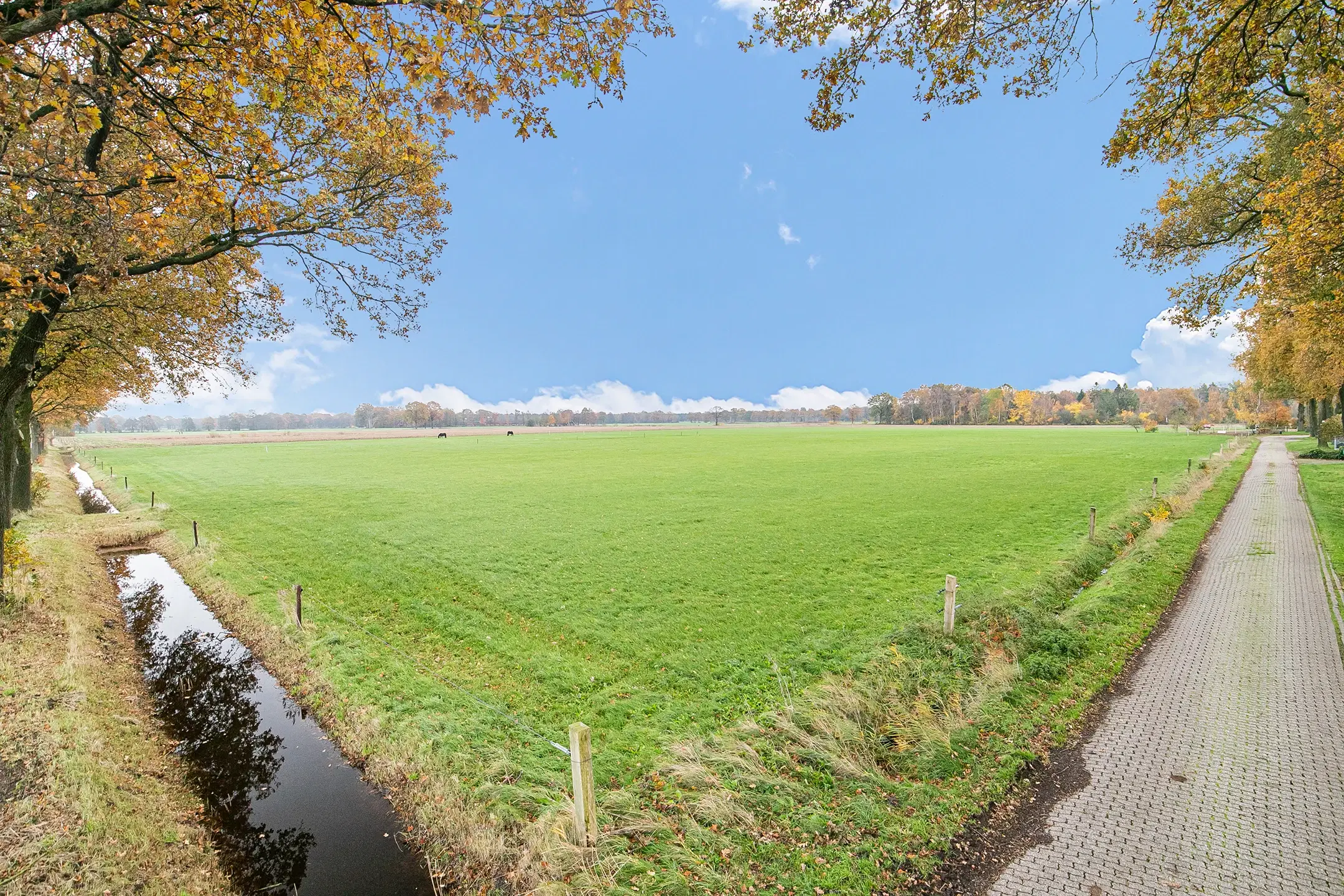 Landerijen aan/nabij Coninckserveweg / Ossenkampweg te Hellendoorn 