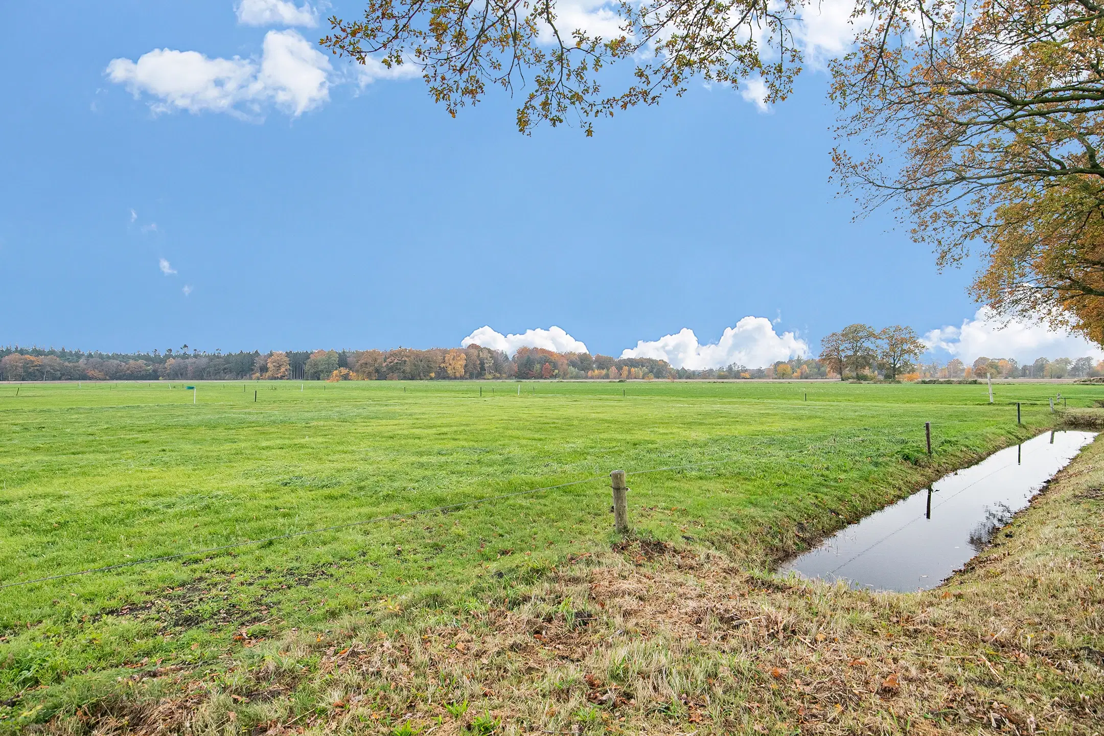 Landerijen aan/nabij Coninckserveweg / Ossenkampweg te Hellendoorn 