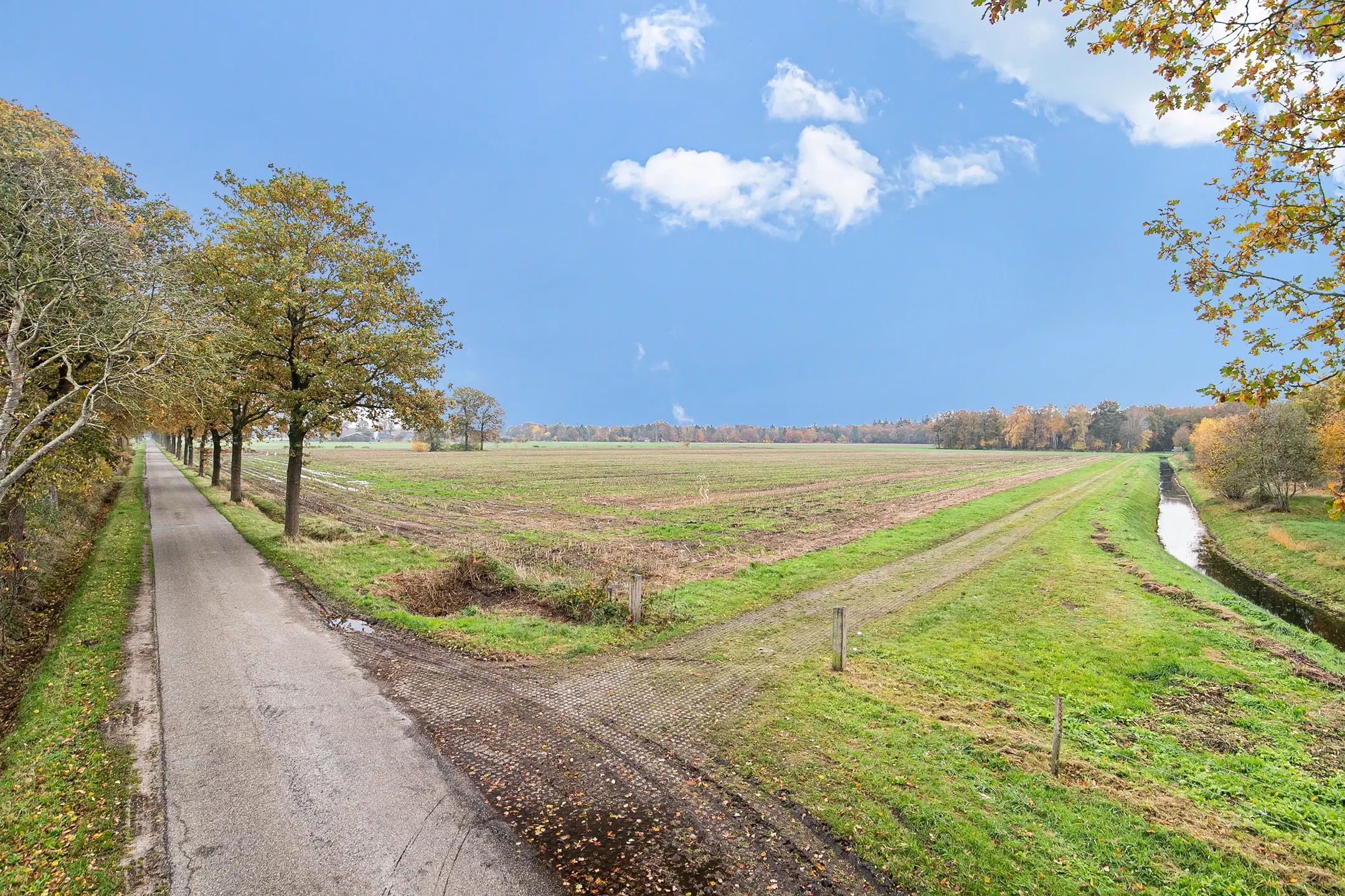 Landerijen aan/nabij Coninckserveweg / Ossenkampweg te Hellendoorn 