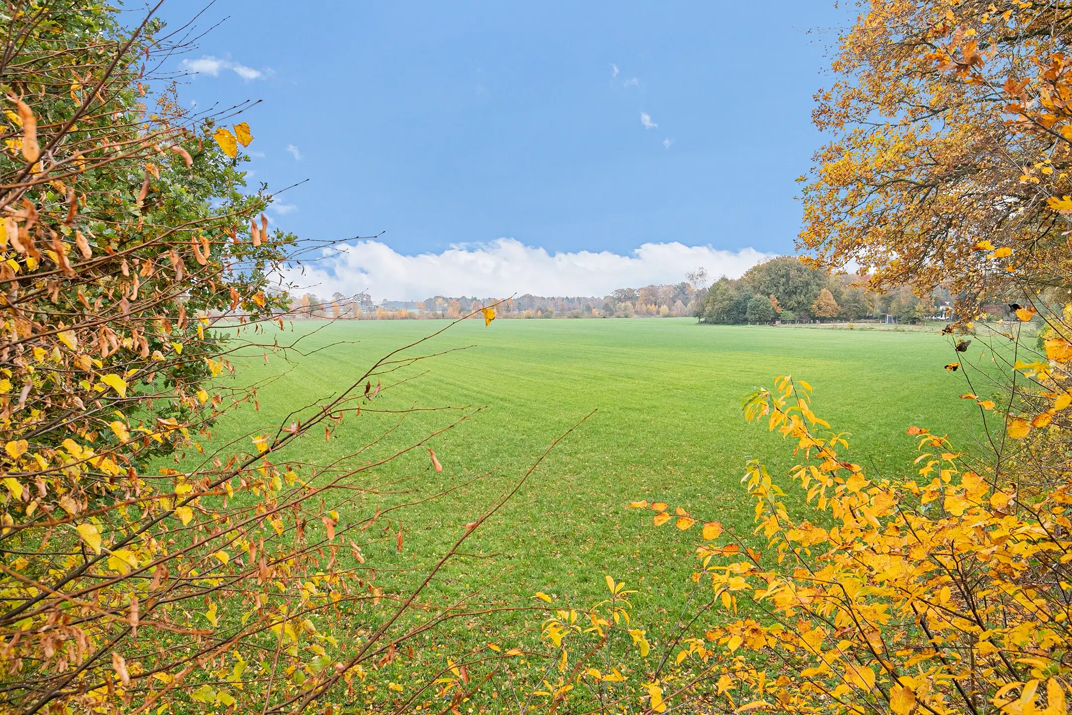 Landerijen aan/nabij Coninckserveweg / Ossenkampweg te Hellendoorn 