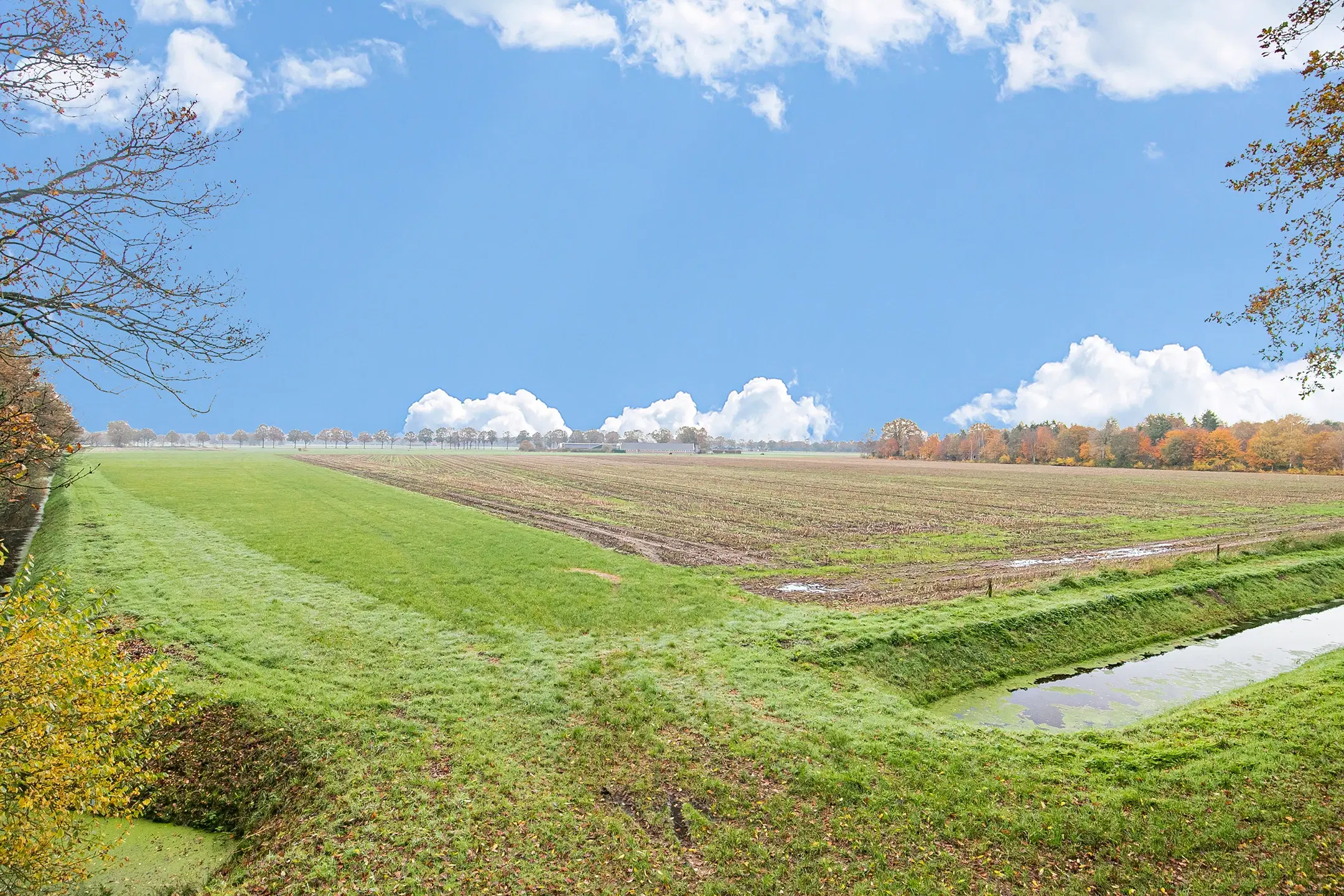 Landerijen aan/nabij Coninckserveweg / Ossenkampweg te Hellendoorn 