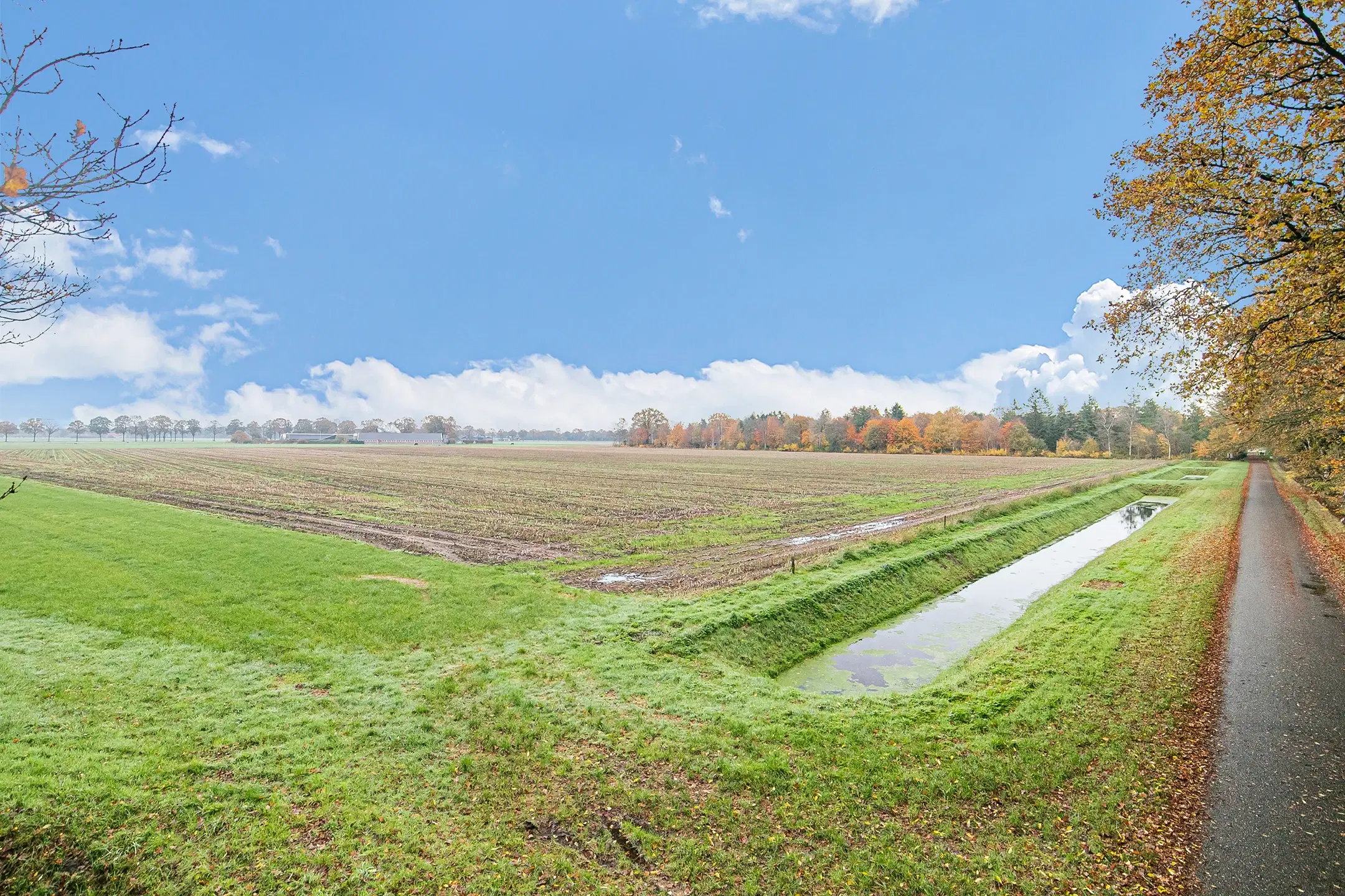 Landerijen aan/nabij Coninckserveweg / Ossenkampweg te Hellendoorn 