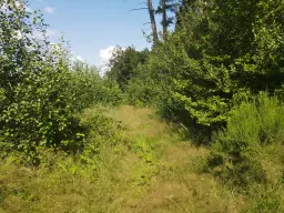 701 m² eigendomsperceel aan de rand van Gummersbach, nabij Winterberg - Duitsland