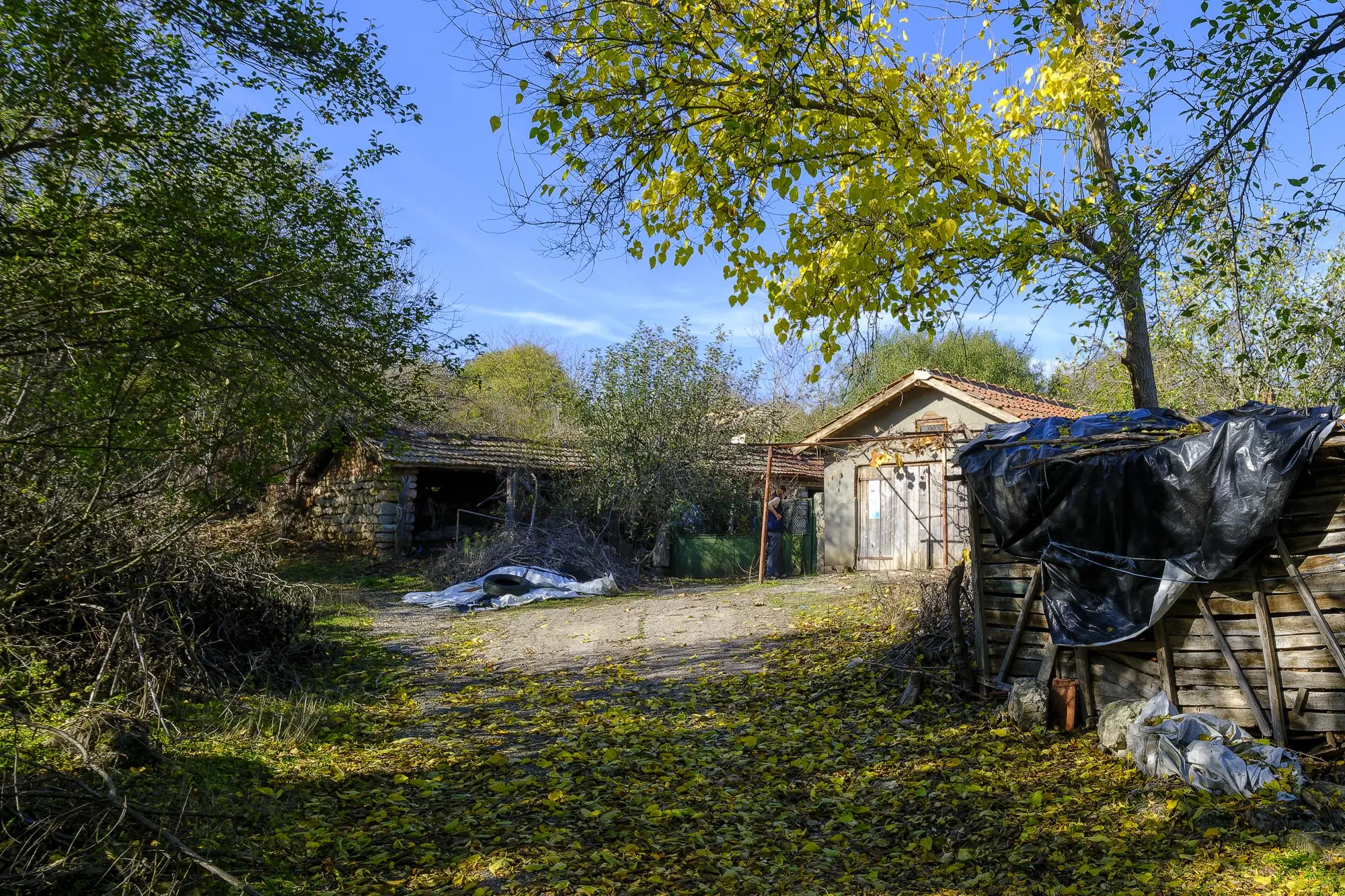 Hoofdgebouw, garage en bijgebouwen op perceel grond van 4.422 m² in Zhiten, Dobroedja - Bulgarije