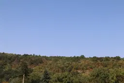 13.949 m² bos (Boynitsa) regio Vidin - Bulgarije