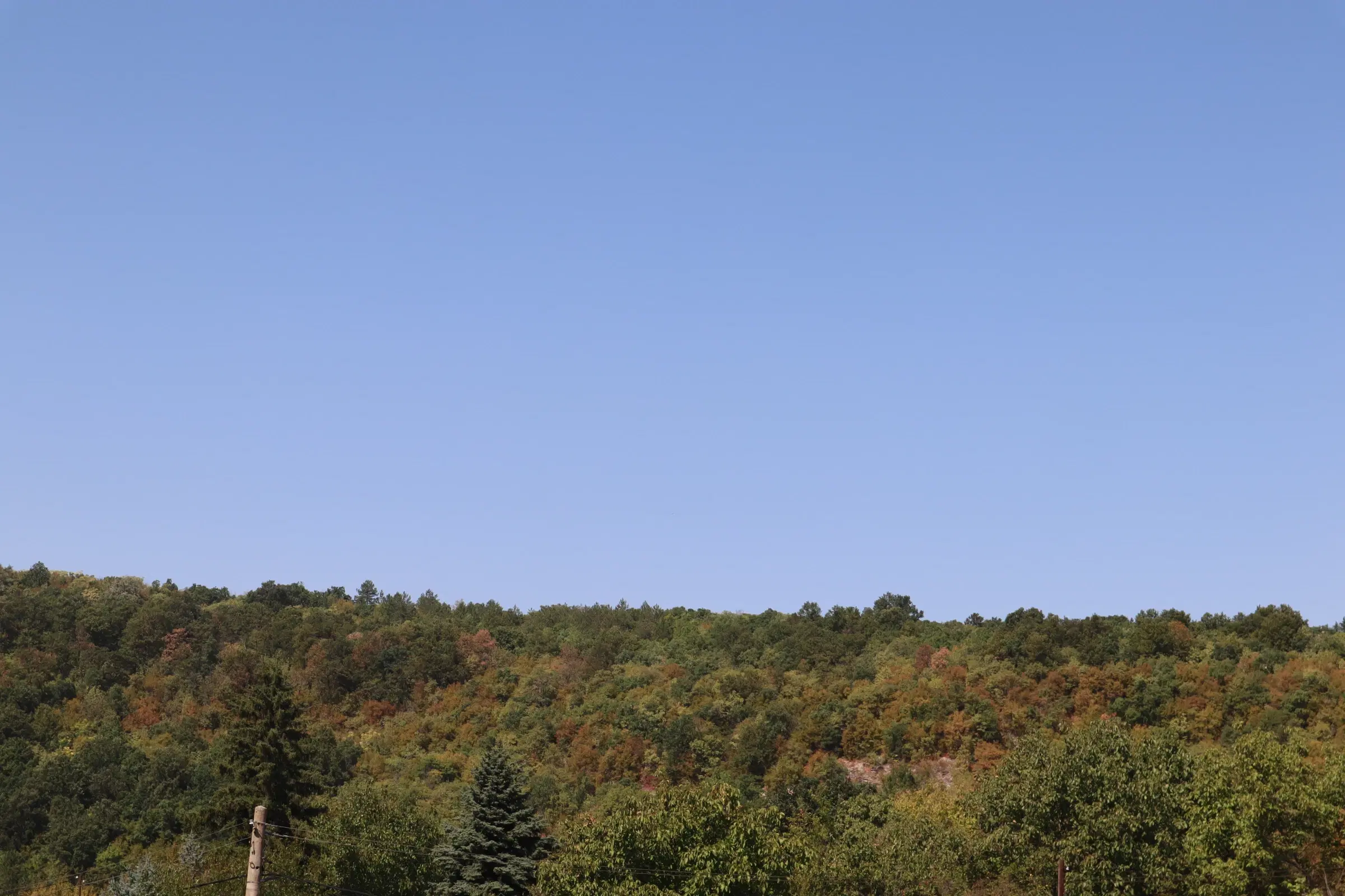13.949 m² bos (Boynitsa) regio Vidin - Bulgarije