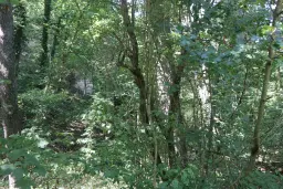 13.949 m² bos (Boynitsa) regio Vidin - Bulgarije