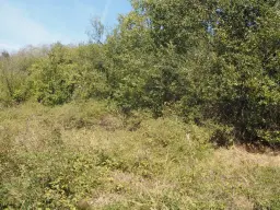 13.949 m² bos (Boynitsa) regio Vidin - Bulgarije