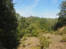 13.949 m² bos (Boynitsa) regio Vidin - Bulgarije