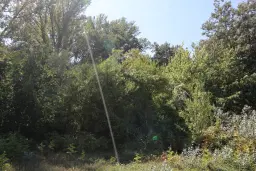 31.507 m² (één perceel) bosgrond, investeringsmogelijkheid en natuurtoevlucht, Regio Vidin - Bulgarije