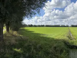INSCHRIJVING | Perceel grond aan de Hoevenallee, hoek Kraaigraafstraat te Terwolde