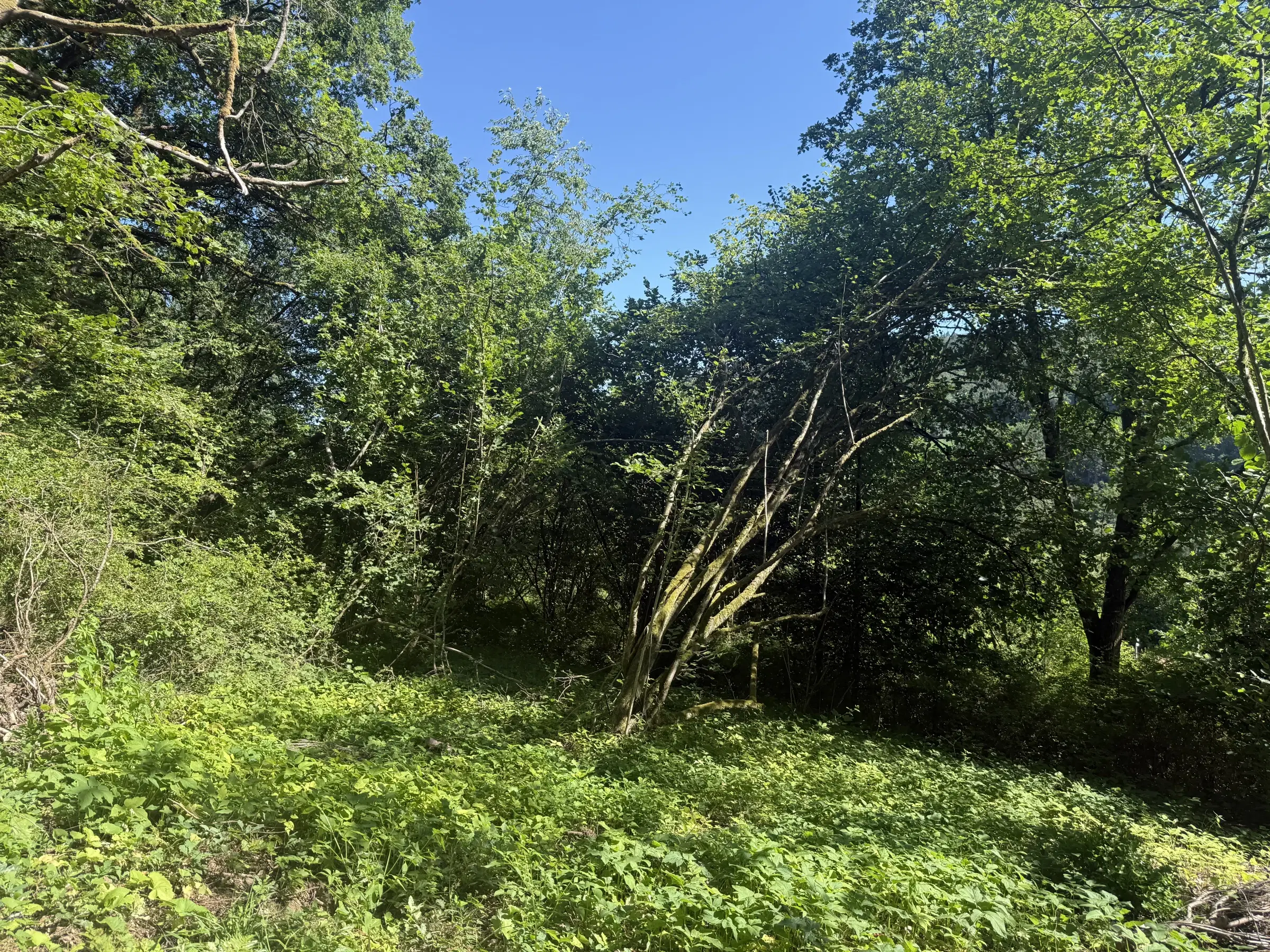 Bootcampbaan van 1.588 m² in Sint Wendel, nabij Saarbrücken - Duitsland