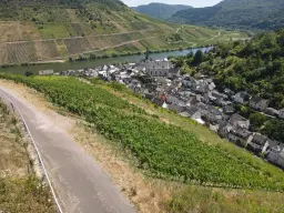 Wijngaard met Riesling van 803 m² perceel nabij Briedel, Cochem - Duitsland