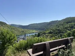Wijngaard met Riesling van 803 m² perceel nabij Briedel, Cochem - Duitsland