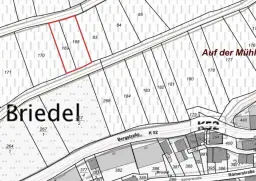 Wijngaard met Riesling van 803 m² perceel nabij Briedel, Cochem - Duitsland