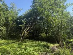 3 eigendomspercelen totaal 1.735 m² in Sint Wendel, nabij Saarbrücken - Duitsland