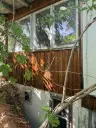 Huis met twee verdiepingen + 660 m² grond in Karan Varbovka - Bulgarije