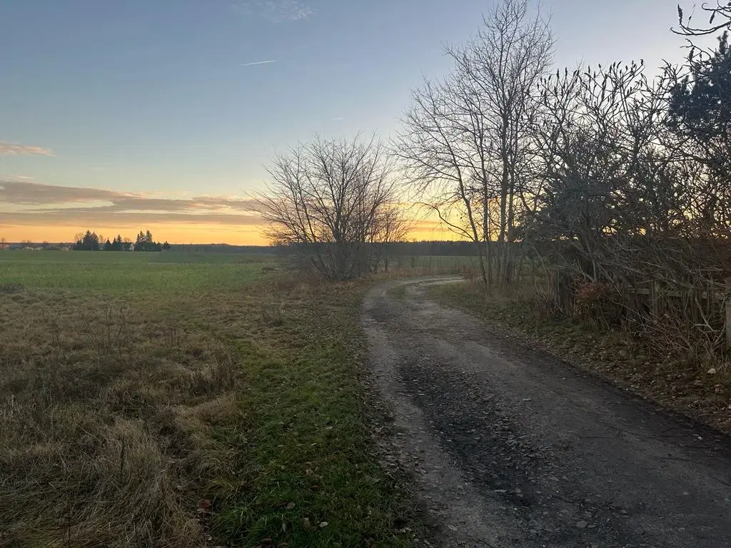 PARTNERVEILING - Tschernitz (Landkreis Spree-Neiße), Waldstraße Flurstuck 113 (Duitsland)