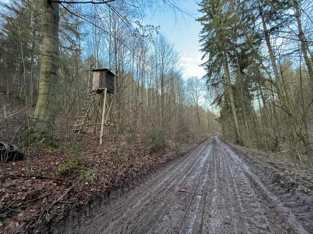 Perceel grond van 3.320 m2 in Friedrichroda - Duitsland