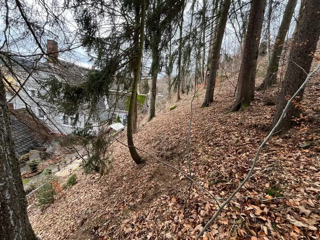 Gebouw met aangrenzend bosgebied in Schönheide - Duitsland