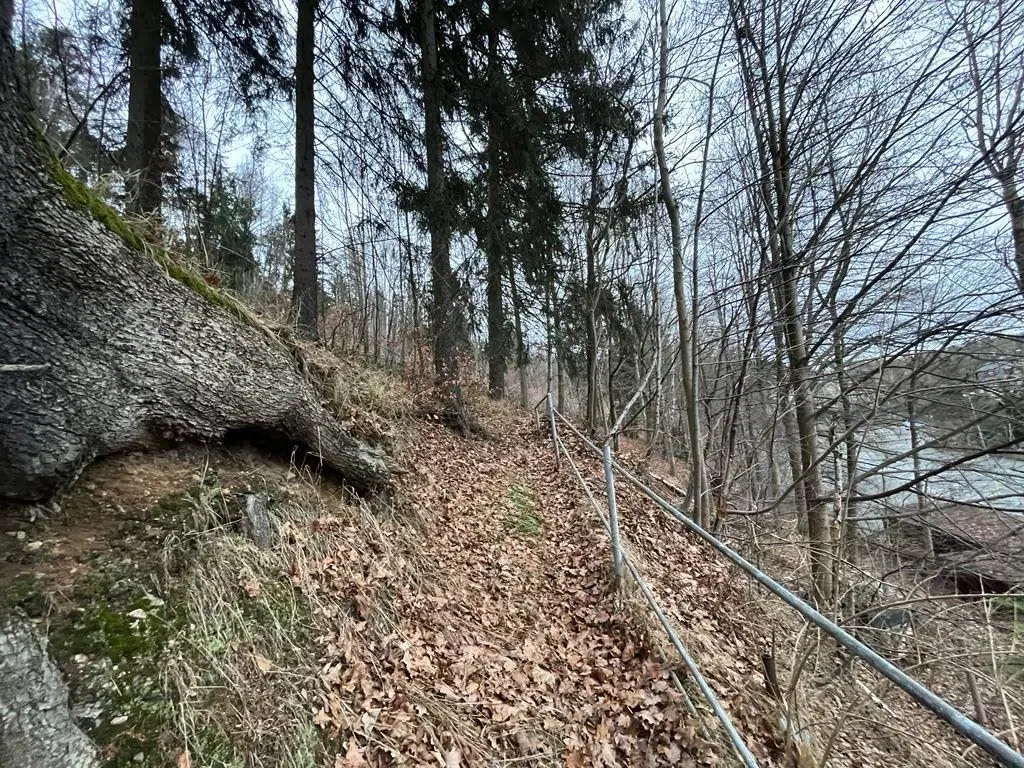 Gebouw met aangrenzend bosgebied in Schönheide - Duitsland
