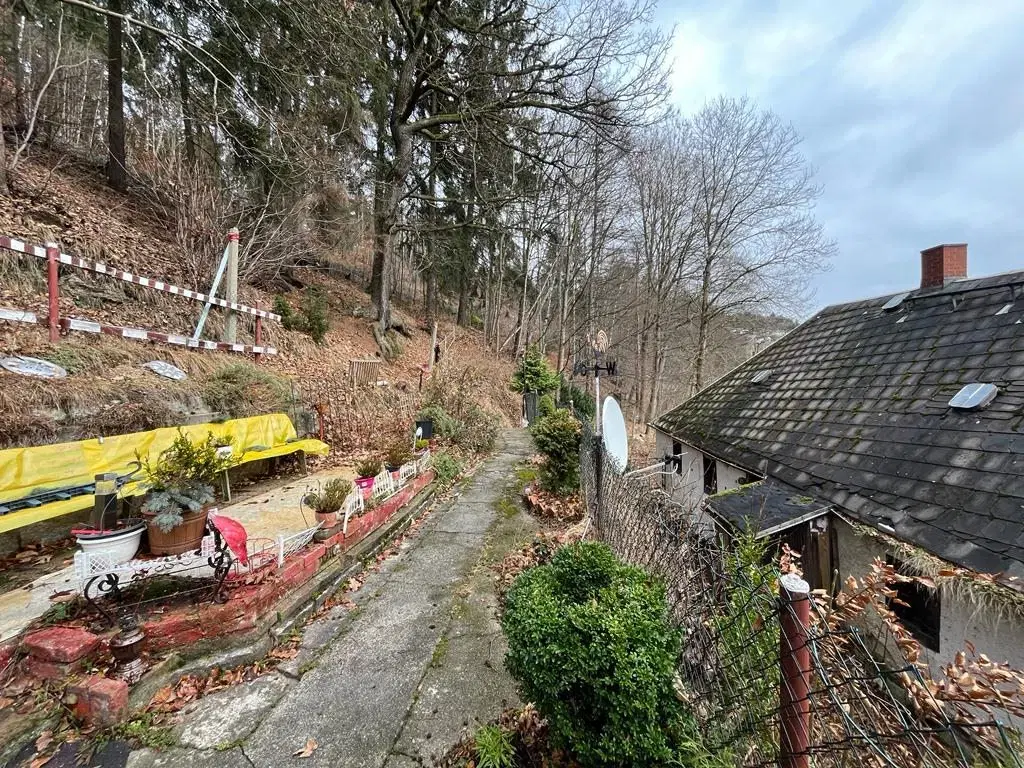 Gebouw met aangrenzend bosgebied in Schönheide - Duitsland