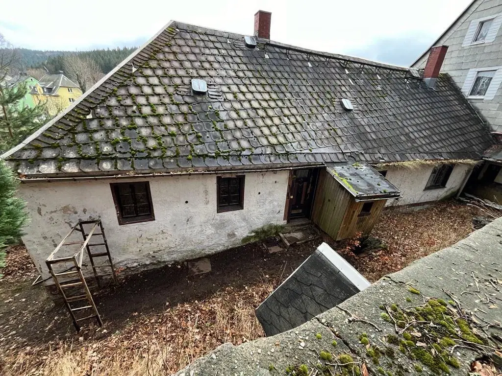 Gebouw met aangrenzend bosgebied in Schönheide - Duitsland