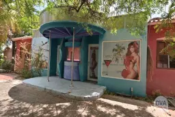 Live veiling - Campo Alegre te Curaçao