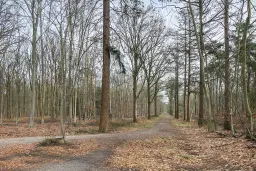 Etten-Leur, Moerdijkse Postbaan 8
