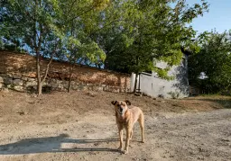 Woning met 2 verdiepingen, bijgebouwen en 2.500 m2 grond in Ostrov-upon-Danube - Bulgarije