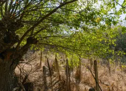 Woning met 2 verdiepingen, bijgebouwen en 2.500 m2 grond in Ostrov-upon-Danube - Bulgarije