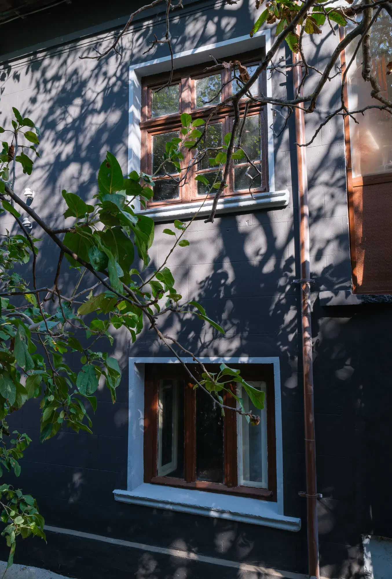 Woning met 2 verdiepingen, bijgebouwen en 2.500 m2 grond in Ostrov-upon-Danube - Bulgarije