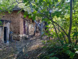 Woning met 2 verdiepingen, bijgebouwen en 2.500 m2 grond in Ostrov-upon-Danube - Bulgarije